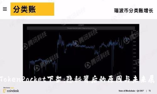  TokenPocket下架：隐秘背后的原因与未来展望