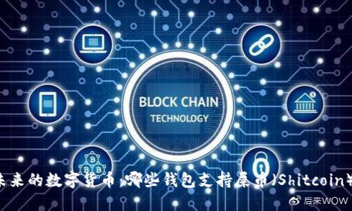 未来的数字货币：哪些钱包支持屎币（Shitcoin）？