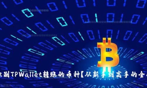如何识别TPWallet转账的币种？从新手到高手的全面指南