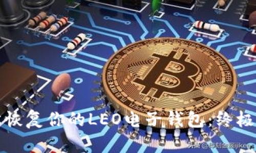 轻松恢复你的LEO电子钱包：终极教程