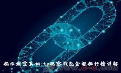 揭示财富真相：tp观察钱包