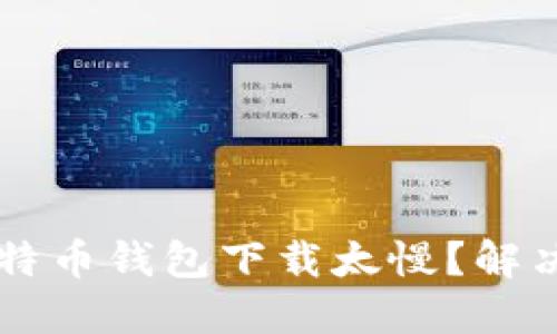 为什么比特币钱包下载太慢？解决方案一览
