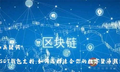 和关键词

USDT钱包支持：如何选择适合你的数字货币钱包