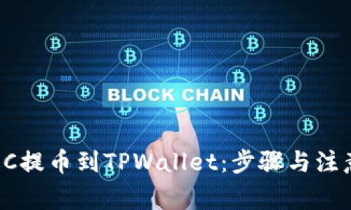 :如何将HEC提币到TPWallet：步骤与注意事项解读
