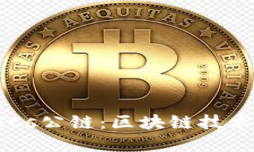 中本聪币BTCs公链：区块链技术的创新先锋
