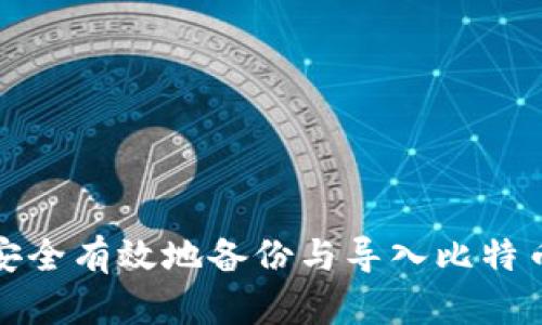 如何安全有效地备份与导入比特币钱包
