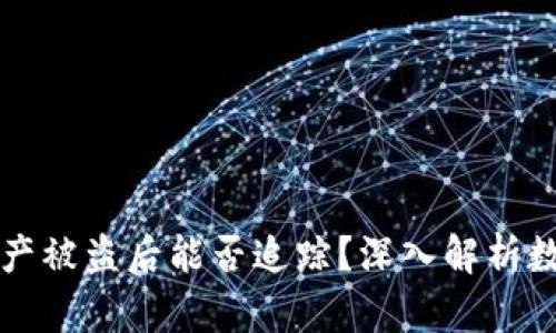 TPWallet资产被盗后能否追踪？深入解析数字资产安全