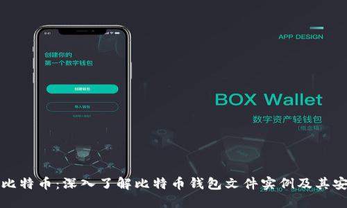 掌握比特币：深入了解比特币钱包文件实例及其安全性