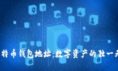  探索比特币钱包地址：数
