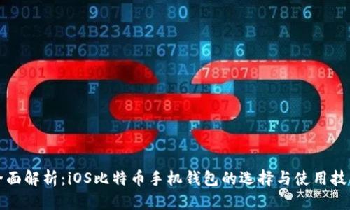 全面解析：iOS比特币手机钱包的选择与使用技巧