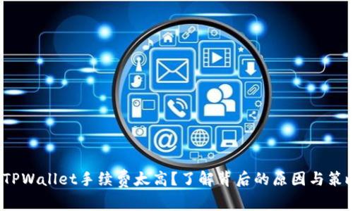  TPWallet手续费太高？了解背后的原因与策略