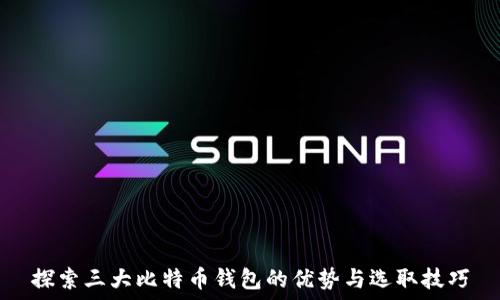   
探索三大比特币钱包的优势与选取技巧