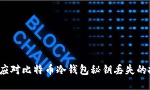 如何应对比特币冷钱包秘钥丢失的挑战？