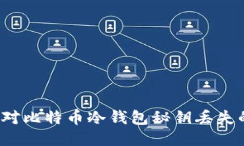 如何应对比特币冷钱包秘钥丢失的挑战？