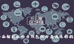 全面解析比特币钱包的分