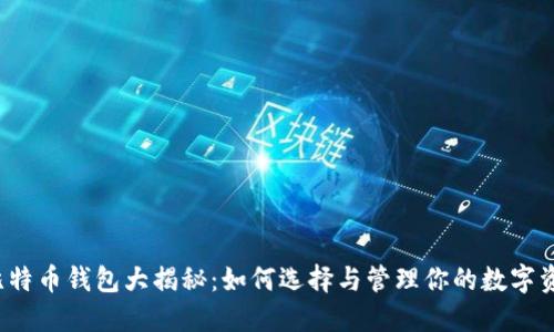  比特币钱包大揭秘：如何选择与管理你的数字资产