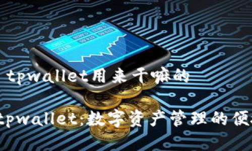 ### tpwallet用来干嘛的

探索 tpwallet：数字资产管理的便捷工具