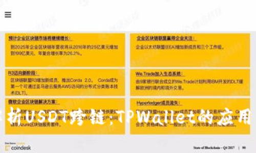 全面解析USDT跨链：TPWallet的应用与前景