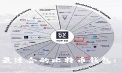 如何选择最适合的比特币