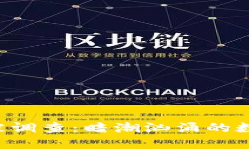 TP Wallet被调查：暗潮汹涌的数字货币世界