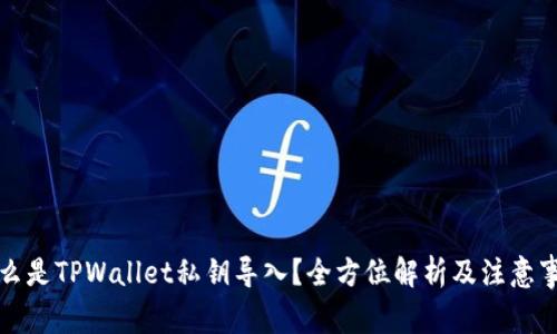 什么是TPWallet私钥导入？全方位解析及注意事项