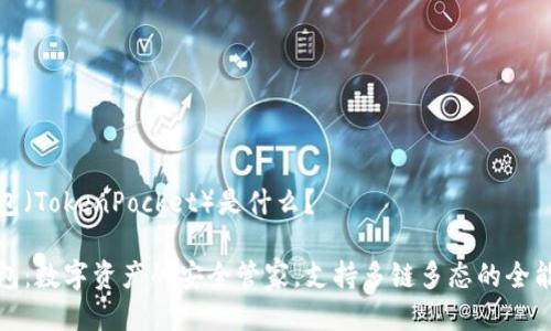 TP钱包（TokenPocket）是什么？

TP钱包：数字资产的安全管家，支持多链多态的全能钱包