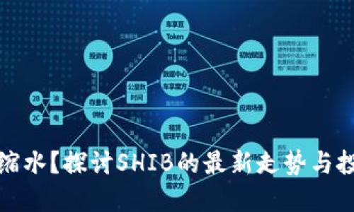 TP钱包缩水？探讨SHIB的最新走势与投资策略