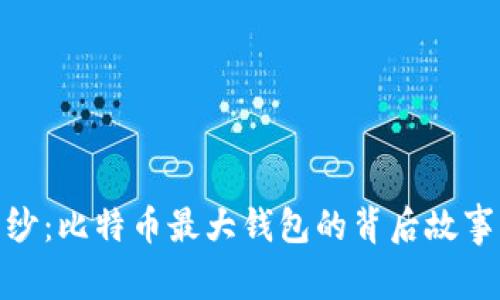 揭开神秘面纱：比特币最大钱包的背后故事与潜在影响