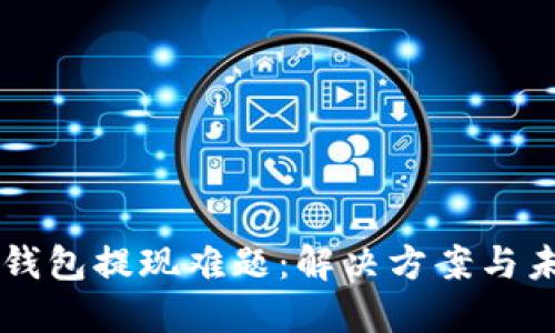 比特币钱包提现难题：解决方案与未来展望