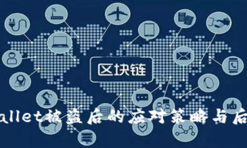 深入解析TPWallet被盗后的应对策略与后续使用可能性