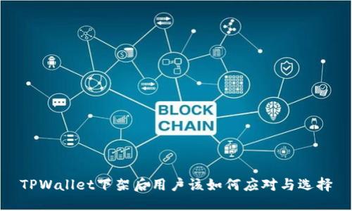 TPWallet下架后用户该如何应对与选择