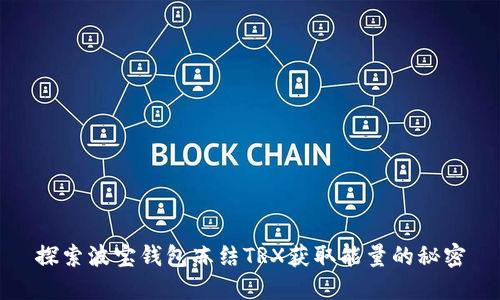 探索波宝钱包冻结TRX获取能量的秘密