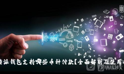 比特派钱包支持哪些币种付款？全面解析及使用指南