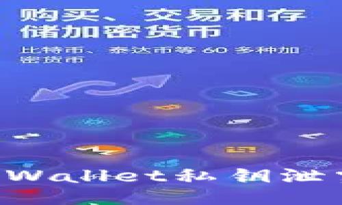 如何应对TPWallet私钥泄露：全面指南