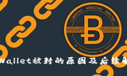 探索TPWallet被封的原因及后续解决方案