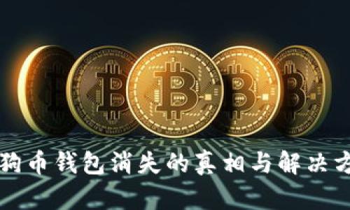 狗狗币钱包消失的真相与解决方案