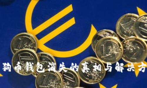 狗狗币钱包消失的真相与解决方案
