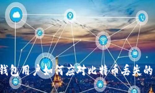 麦子钱包用户如何应对比特币丢失的危机？