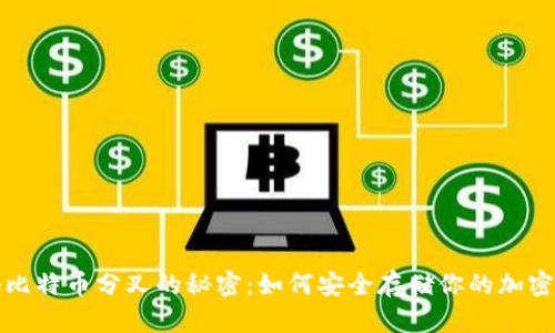 揭秘比特币分叉的秘密：如何安全存储你的加密资产