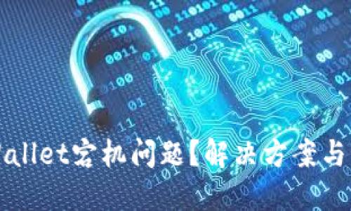 如何应对TPWallet宕机问题？解决方案与预防措施详解