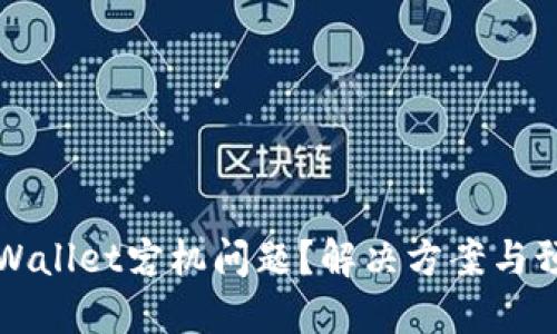 如何应对TPWallet宕机问题？解决方案与预防措施详解