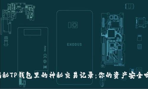 揭秘TP钱包里的神秘交易记录：你的资产安全吗？