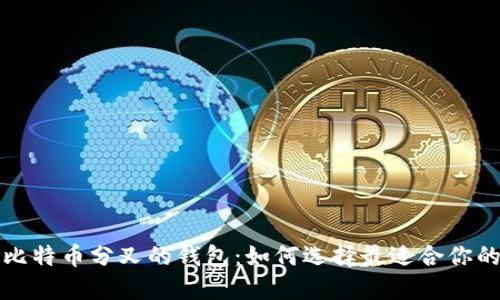 支持比特币分叉的钱包：如何选择最适合你的选项
