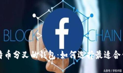 支持比特币分叉的钱包：如何选择最适合你的选项