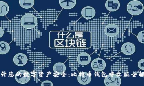 提升您的数字资产安全：比特币钱包中文版全解析