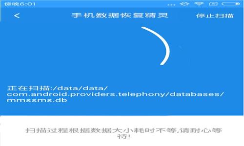 
解密狗狗币：钱包与密钥的全面指南