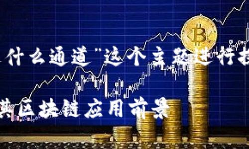 文章的内容可以围绕“TPWallet走什么通道”这个主题进行探讨，以下是、关键词以及内容安排：

深入解析TPWallet的通道选择及其区块链应用前景