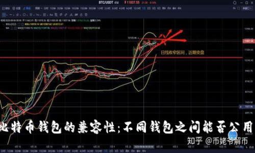 比特币钱包的兼容性：不同钱包之间能否公用？