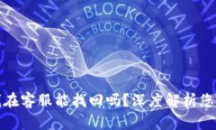 tpwallet丢的钱在客服能找回