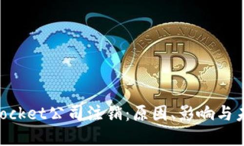 TokenPocket公司注销：原因、影响与未来展望